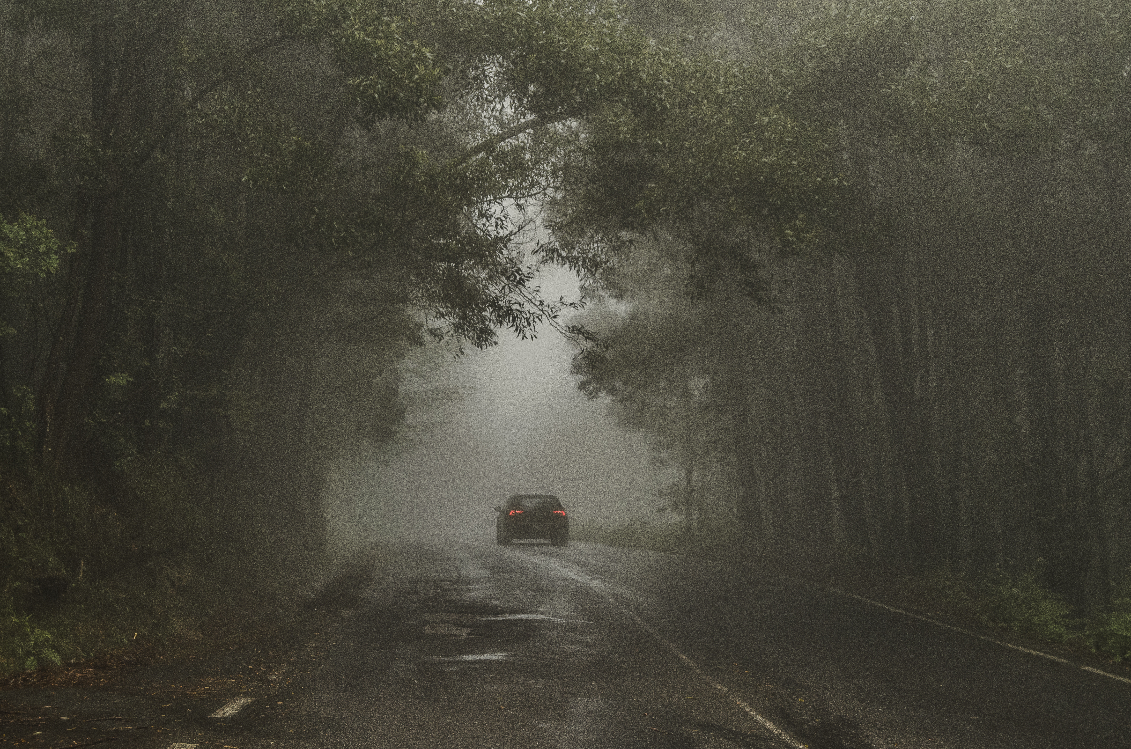 Umysł seryjnego mordercy sezon 2